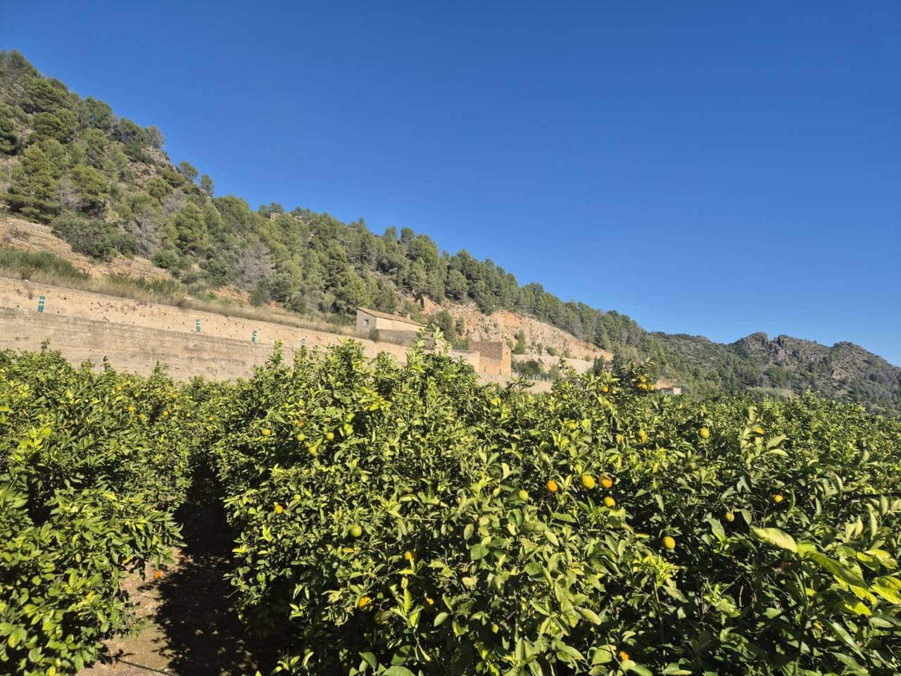 Maalaistalo myytävänä paikassa Oliva - 75 000 € (Ref: 9453040)