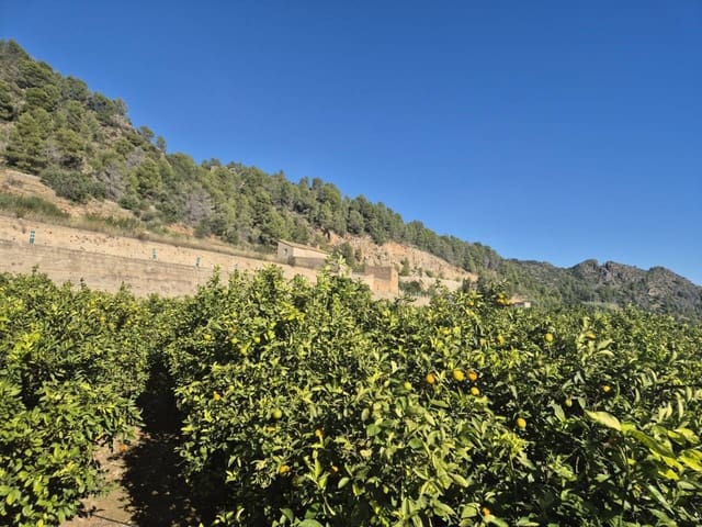 Finca/Casa Rural en Oliva en venta - 75.000 € (Ref: 9453040)