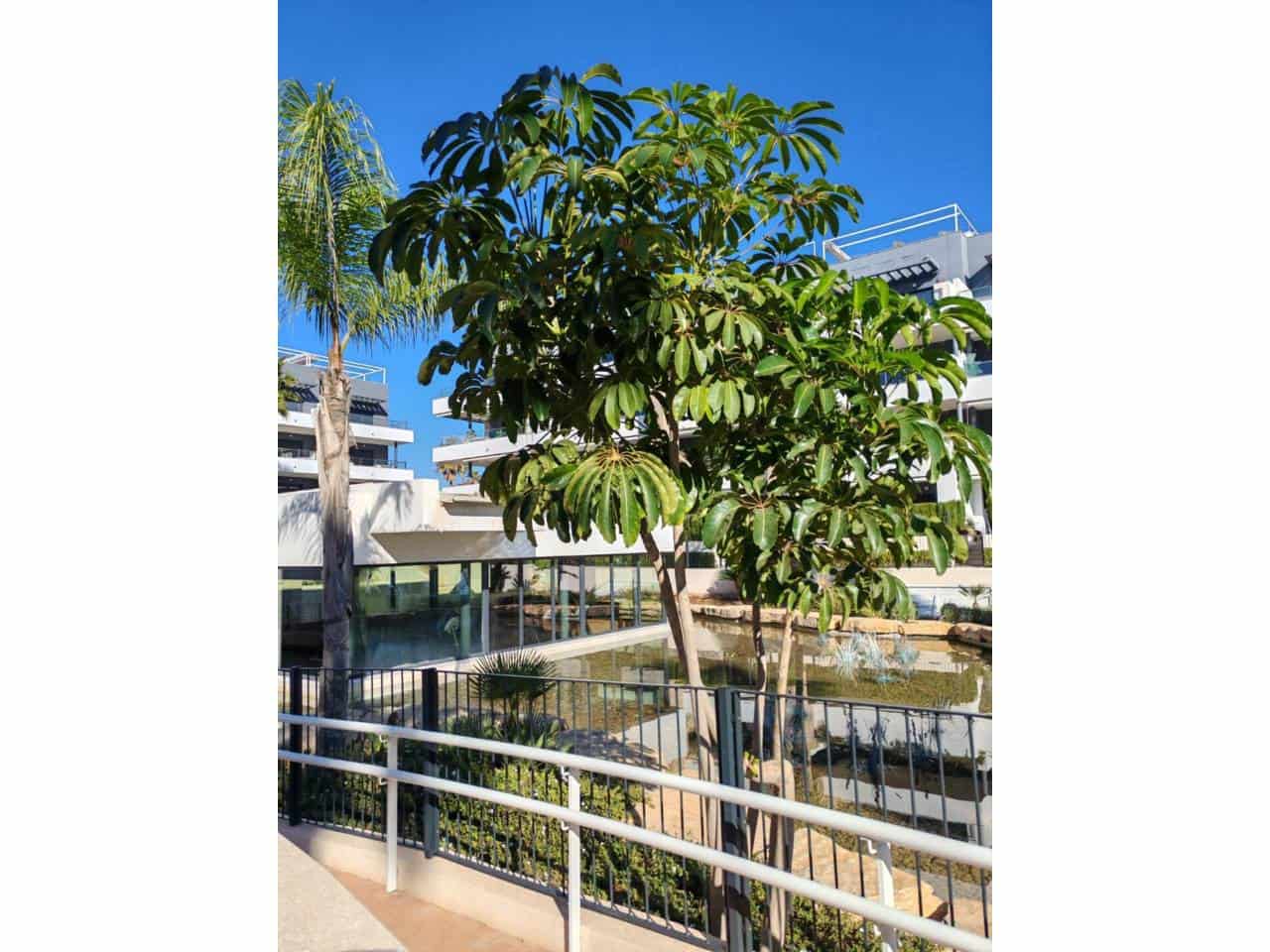 Ático de 2 habitaciones en Orihuela en venta con piscina garaje - 499.000 € (Ref: 9465115)