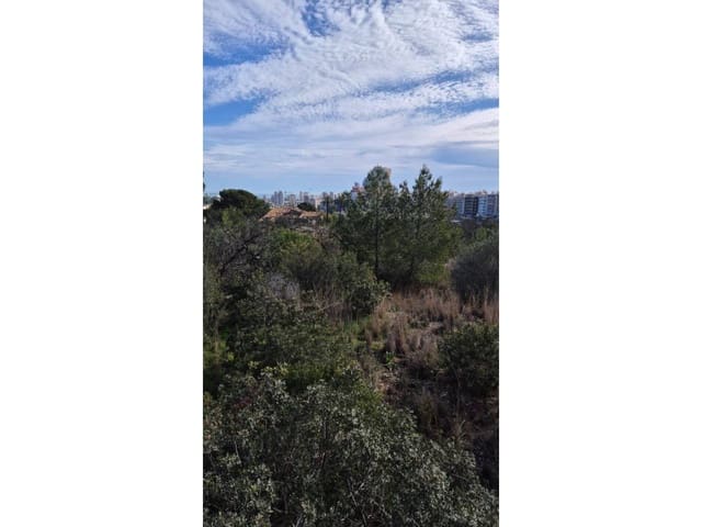 2 Zimmer Ferienvilla in Calpe / Calp - 1.000 € (Ref: 9629499)