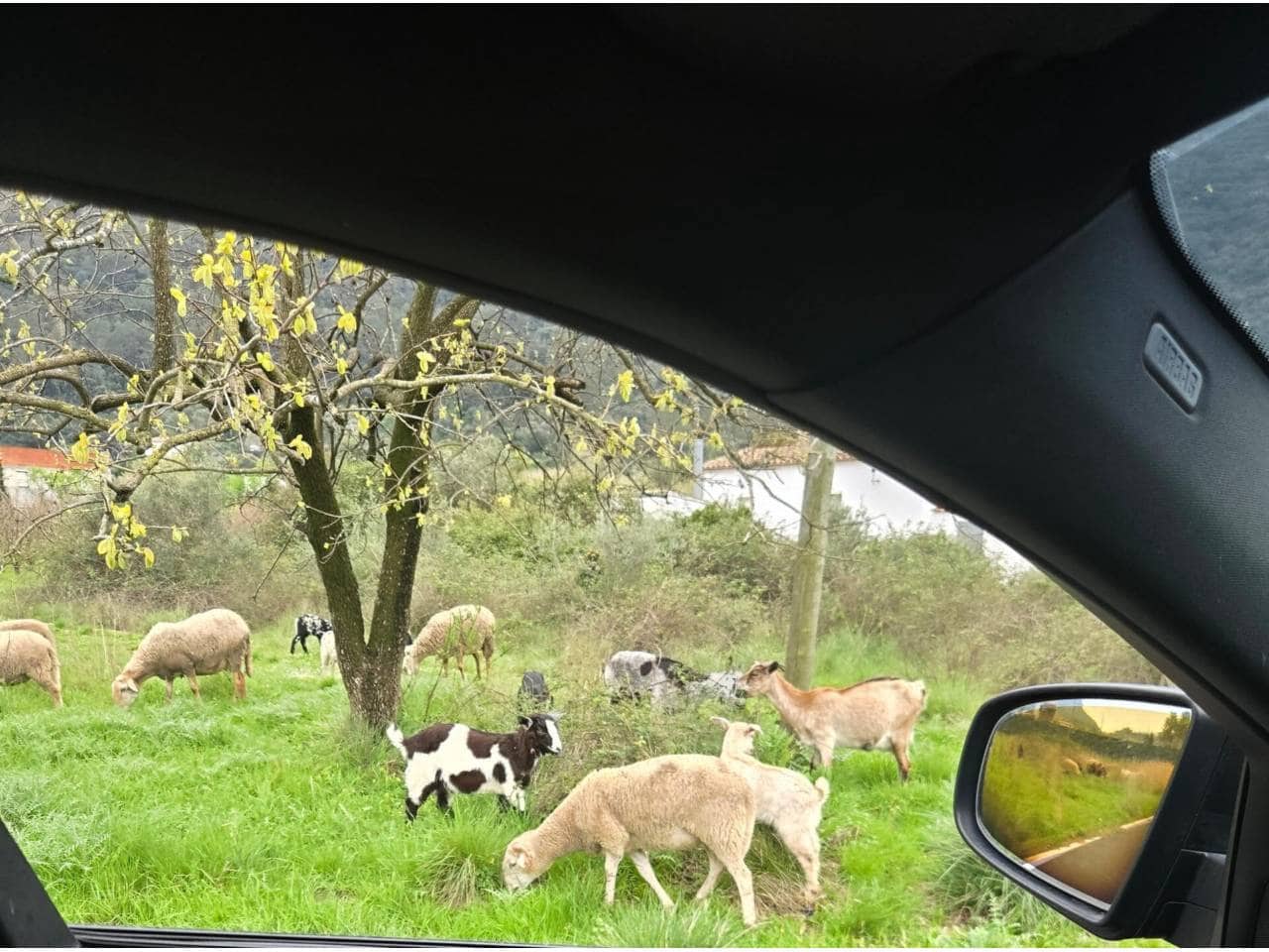 Finca/Casa Rural en Barx en venta - 178.500 € (Ref: 9743094)