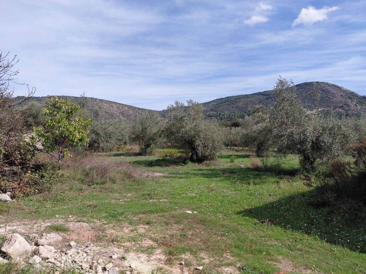 2 Zimmer Villa zu verkaufen in Castell de Castells mit Garage - 95.000 € (Ref: 9981724)