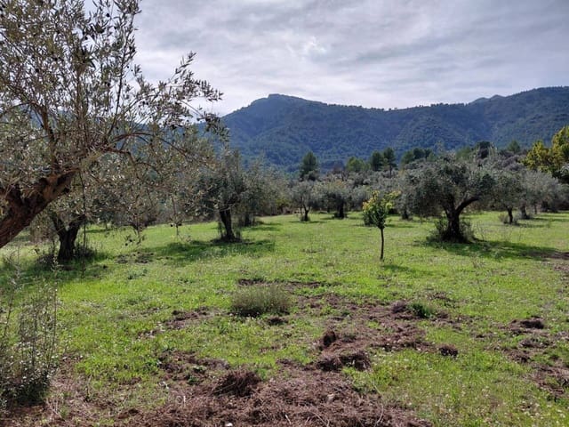 2 soverom Villa til salgs i Castell de Castells med garasje - € 95 000 (Ref: 9981724)
