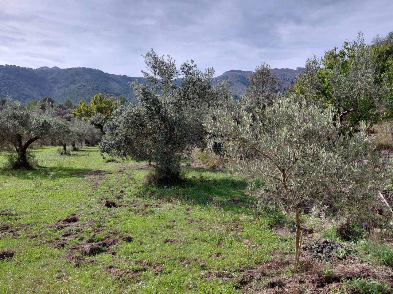 2 Zimmer Villa zu verkaufen in Castell de Castells mit Garage - 95.000 € (Ref: 9981724)
