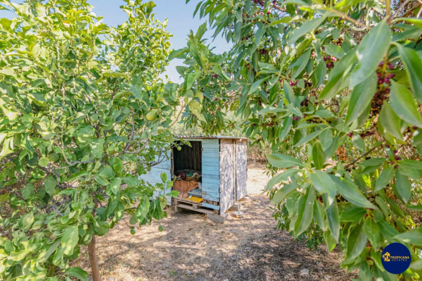 3 sypialnia Finka/Dom wiejski na sprzedaż w Salobrena z basenem garażem - 320 000 € (Ref: 10033229)