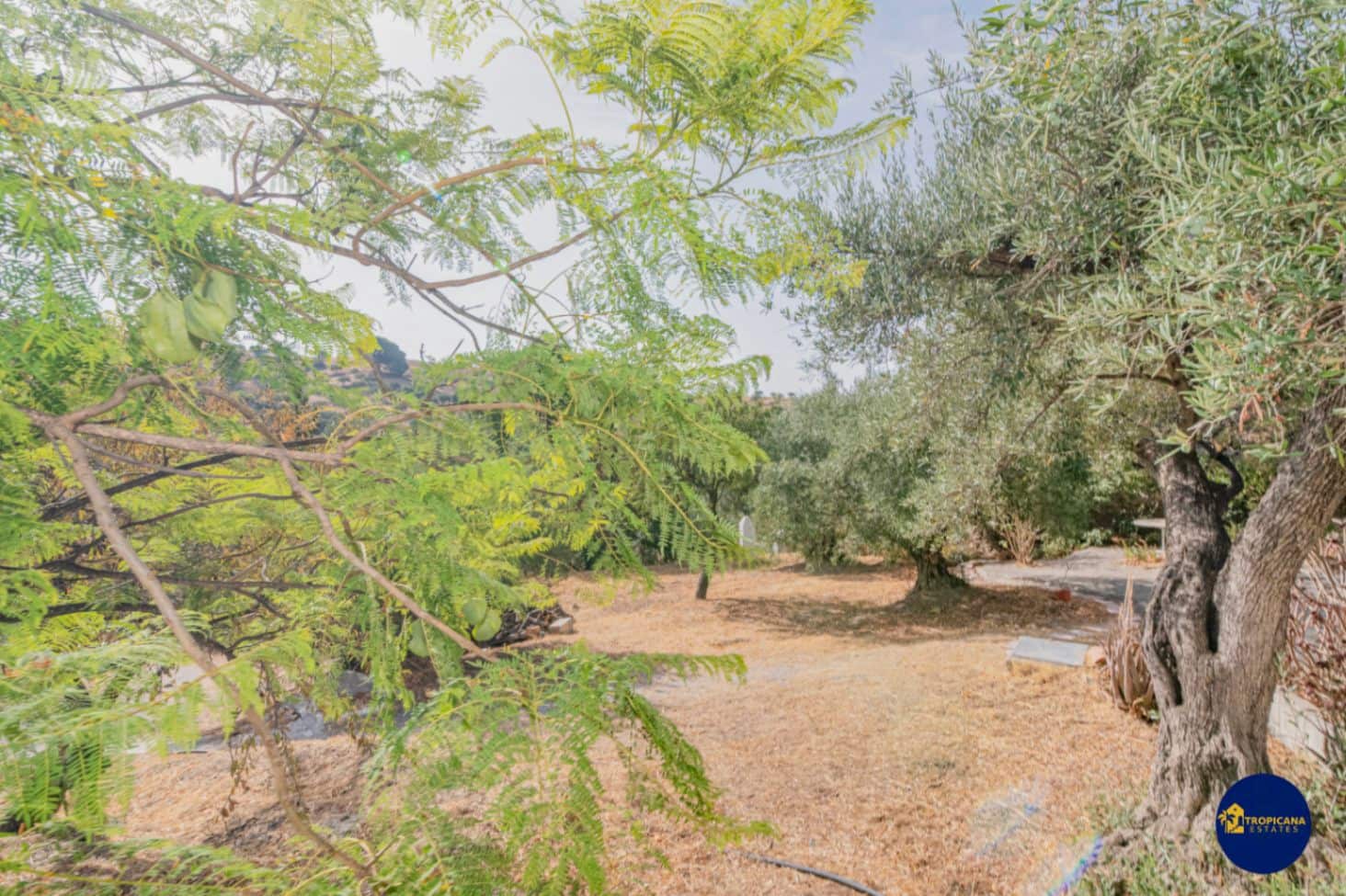 2 bedroom Finca/Country House for sale in Almunecar with garage - € 289,000 (Ref: 10048621)