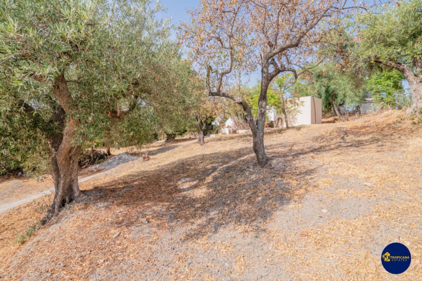 2 bedroom Finca/Country House for sale in Almunecar with garage - € 289,000 (Ref: 10048621)