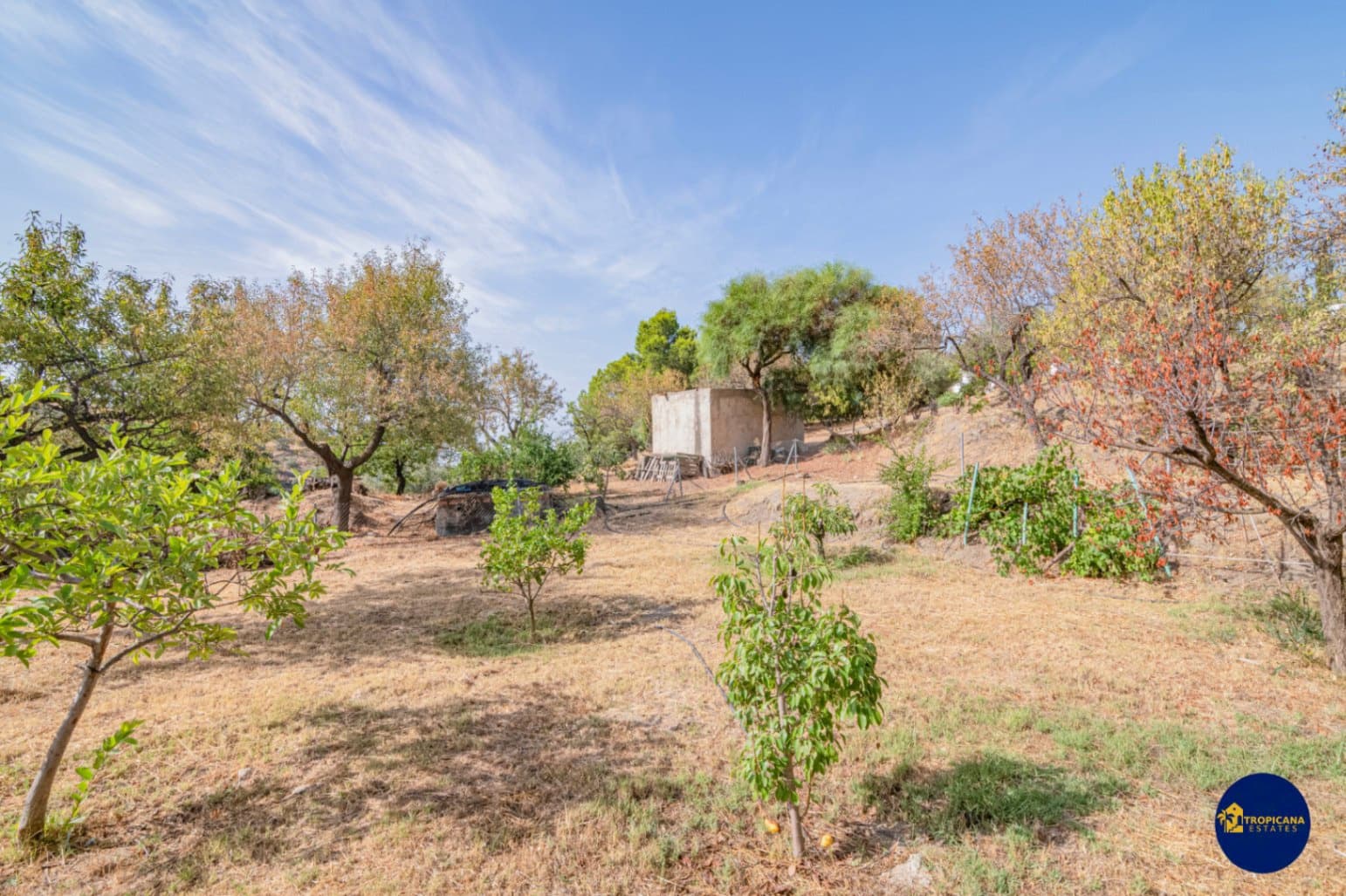 2 bedroom Finca/Country House for sale in Almunecar with garage - € 289,000 (Ref: 10048621)