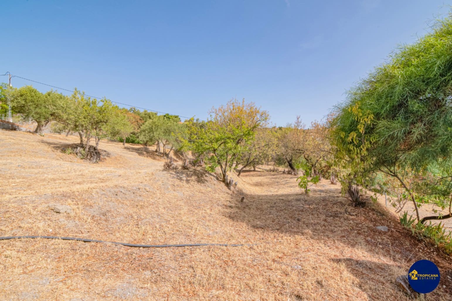2 bedroom Finca/Country House for sale in Almunecar with garage - € 289,000 (Ref: 10048621)