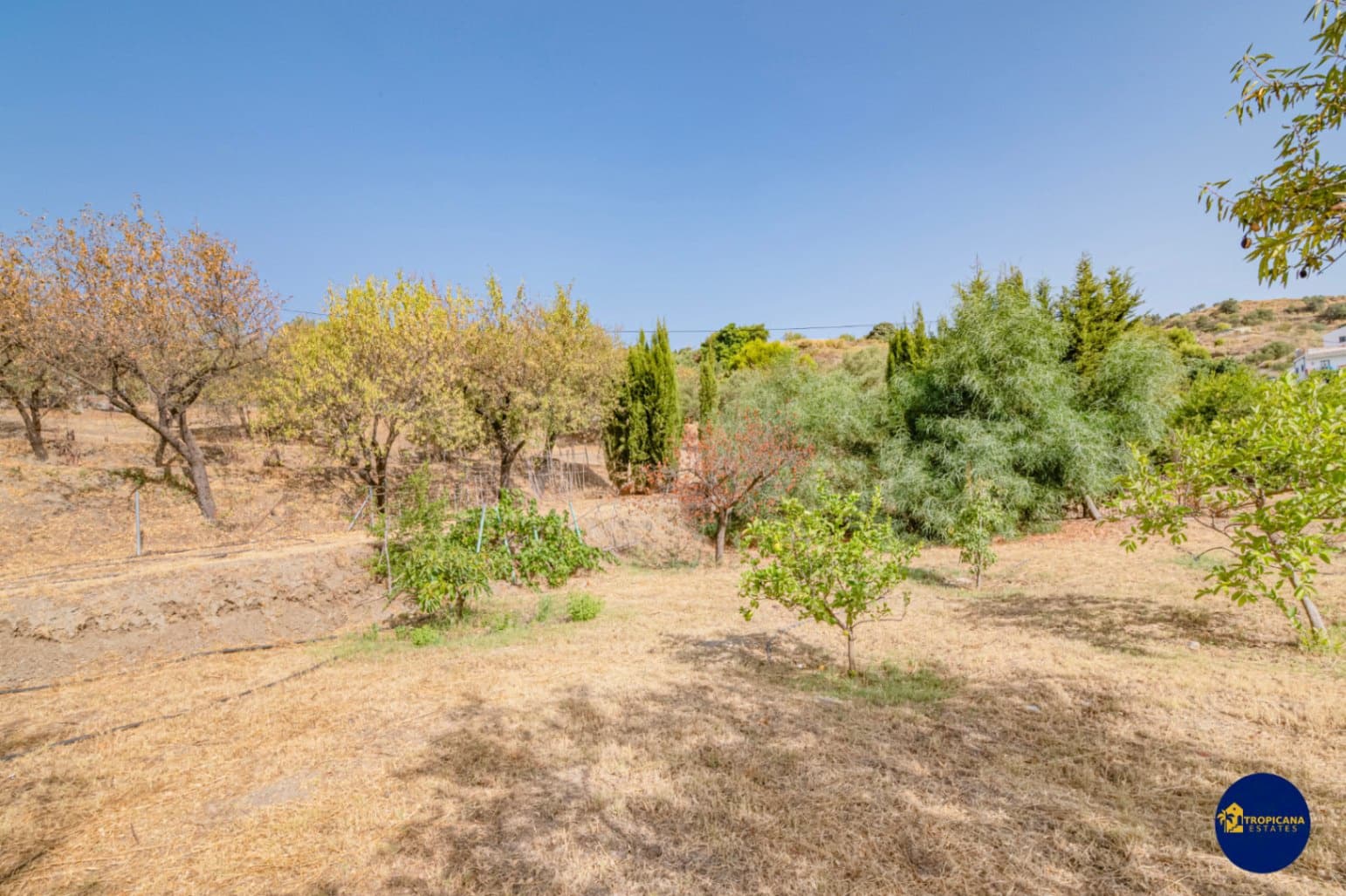 2 bedroom Finca/Country House for sale in Almunecar with garage - € 289,000 (Ref: 10048621)