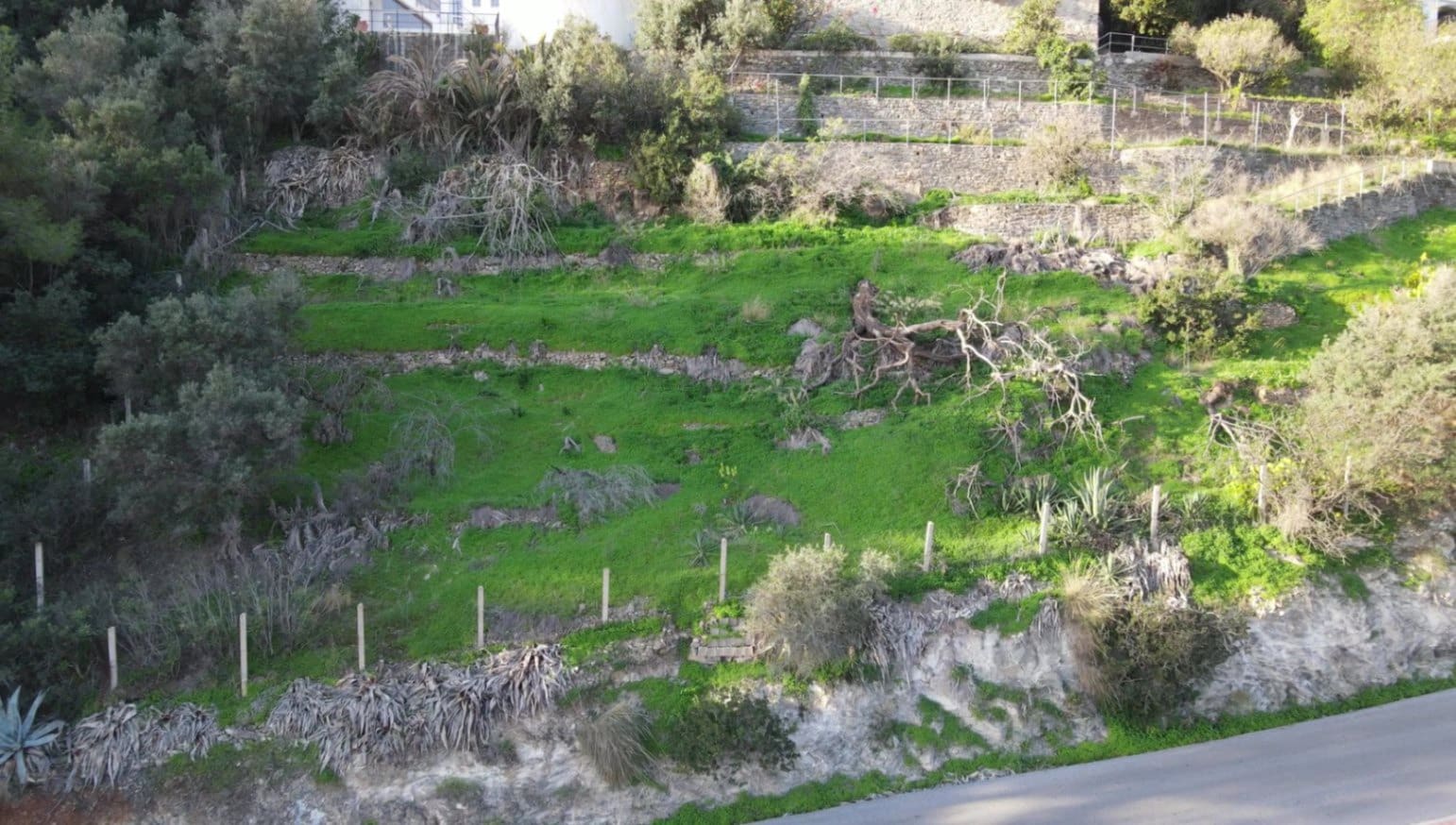 Byggegrund til salg i Cotobro - € 180.000 (Ref: 8891527)