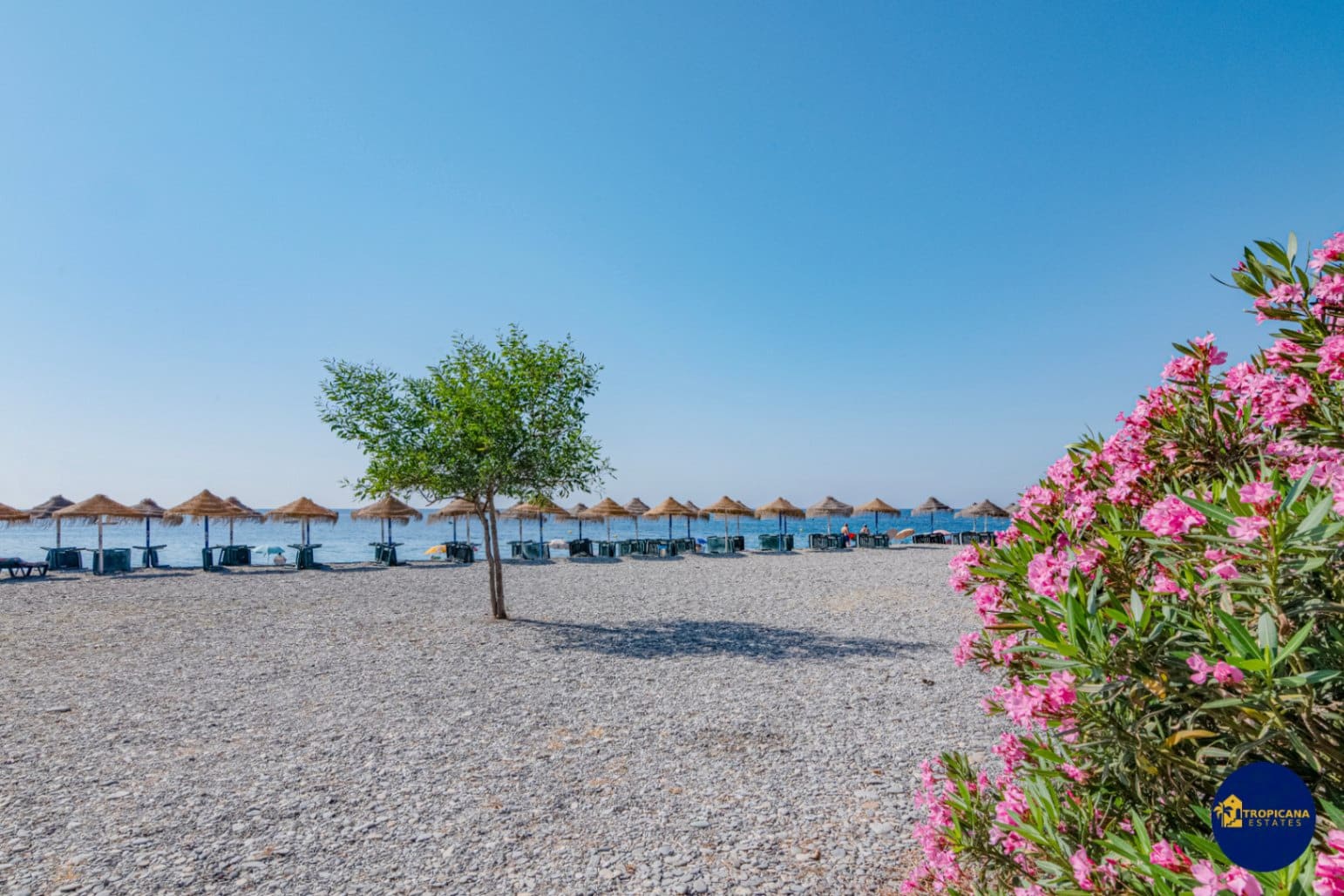 Kommersiell till salu i Velilla - 189 000 € (Ref: 9113600)