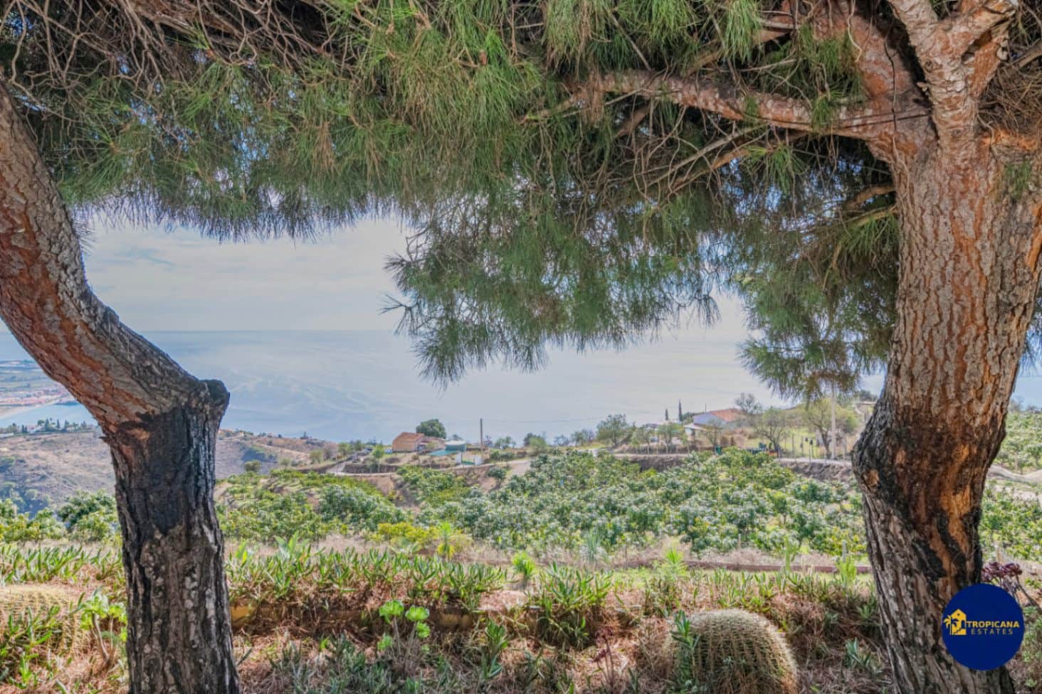 3 soverom Finca/Herregård til salgs i Salobrena med svømmebasseng garasje - € 399 000 (Ref: 9395495)