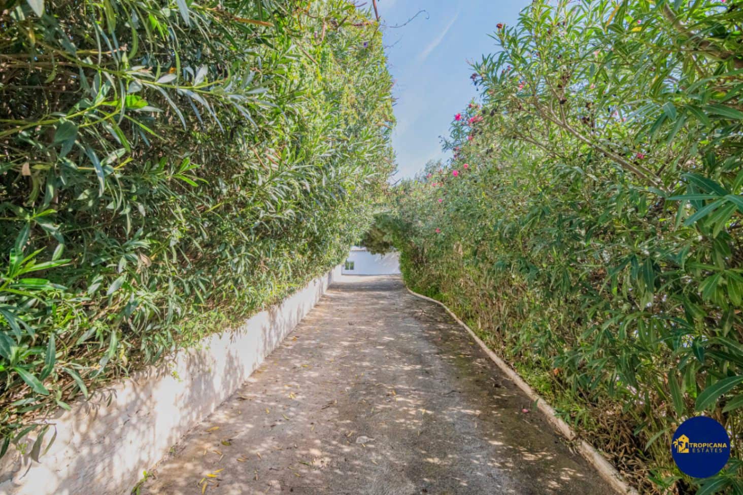 3 soverom Finca/Herregård til salgs i Salobrena med svømmebasseng garasje - € 399 000 (Ref: 9395495)