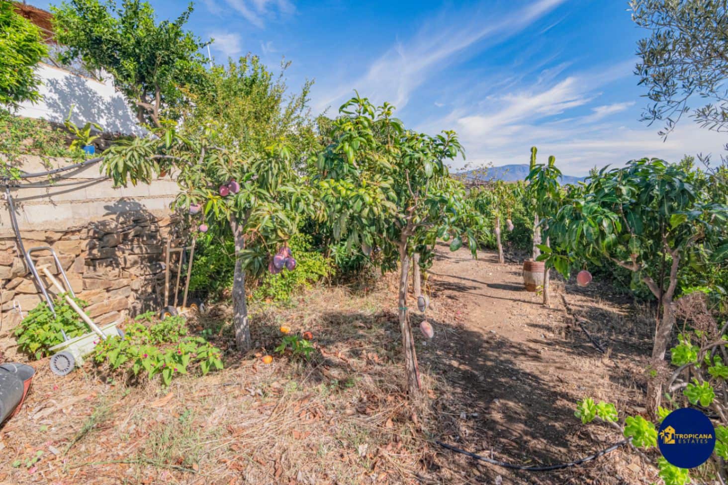 3 soverom Finca/Herregård til salgs i Salobrena med svømmebasseng garasje - € 399 000 (Ref: 9395495)