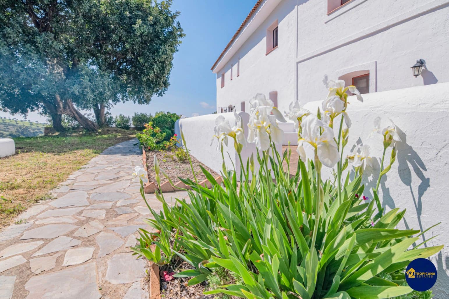 12 bedroom Finca/Country House for sale in Almunecar with pool garage - € 639,000 (Ref: 9731553)