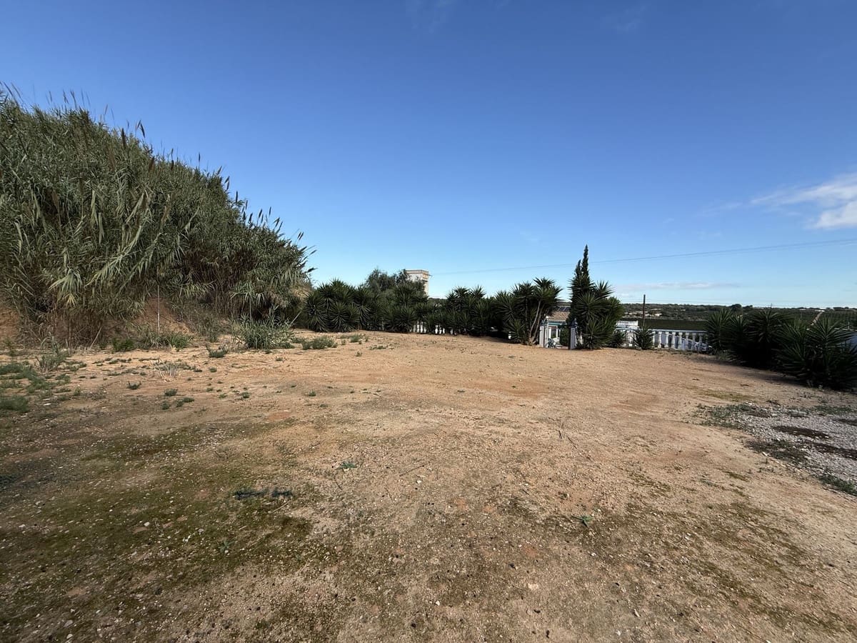 4 Zimmer Finca/Landgut zu verkaufen in Pinar de Campoverde mit Pool Garage - 335.000 € (Ref: 10015007)