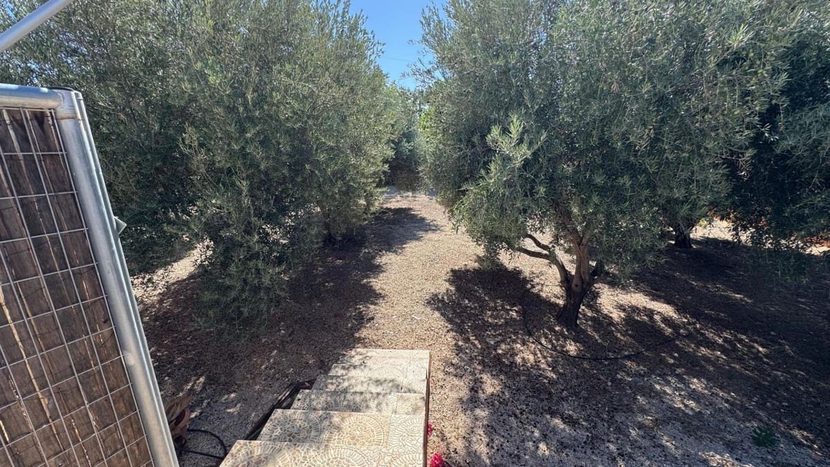 Finca/Casa Rural de 6 habitaciones en Albatera en venta con piscina - 280.000 € (Ref: 10015008)