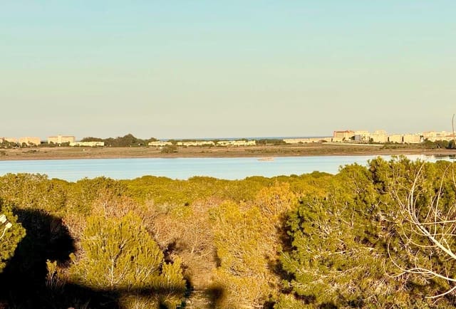 3 makuuhuone Omakotitalo myytävänä paikassa El Chaparral, Torrevieja - 199 000 € (Ref: 10166013)