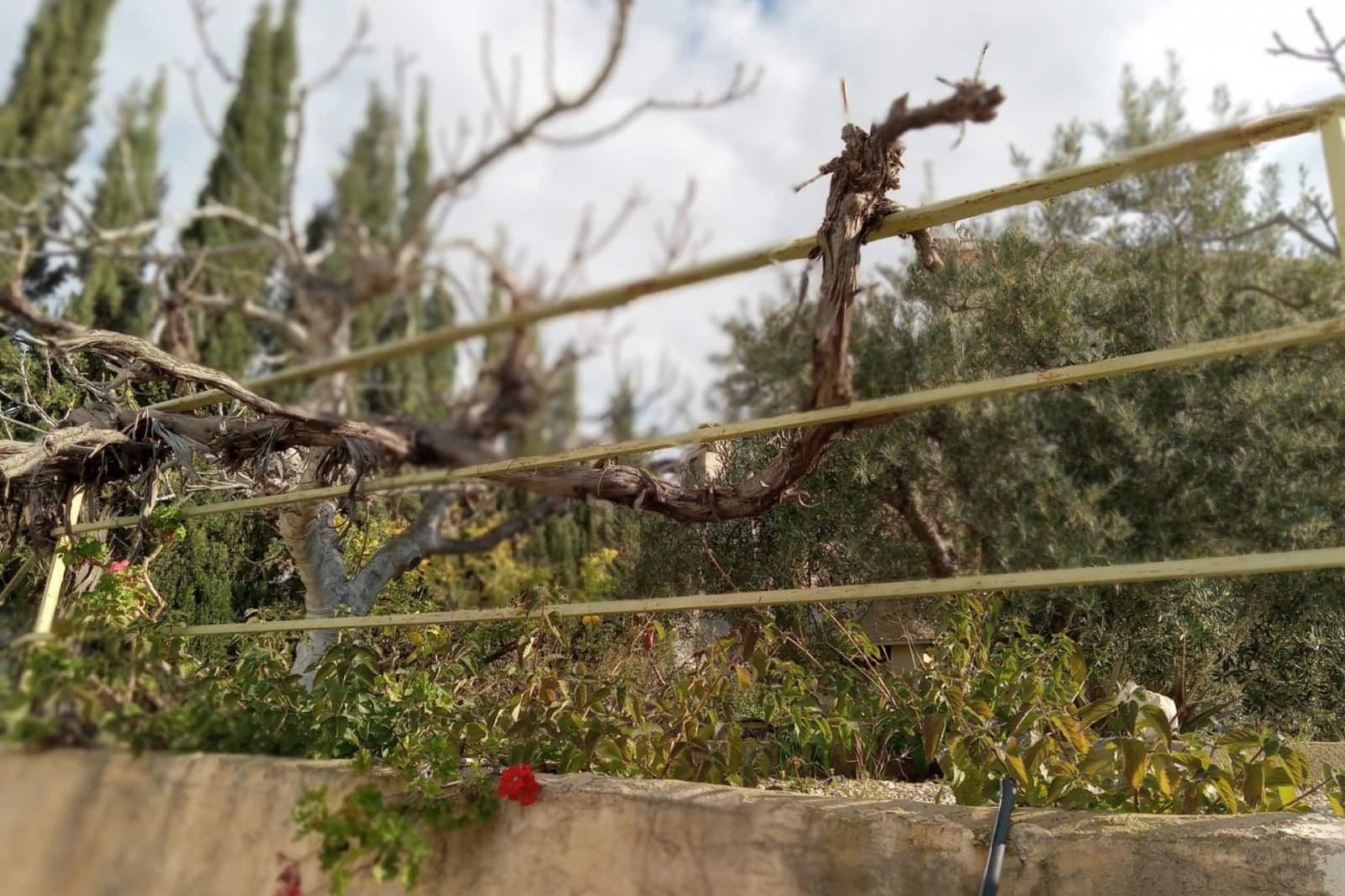 4 soveværelse Byhus til salg i Blanca - € 169.995 (Ref: 8947698)