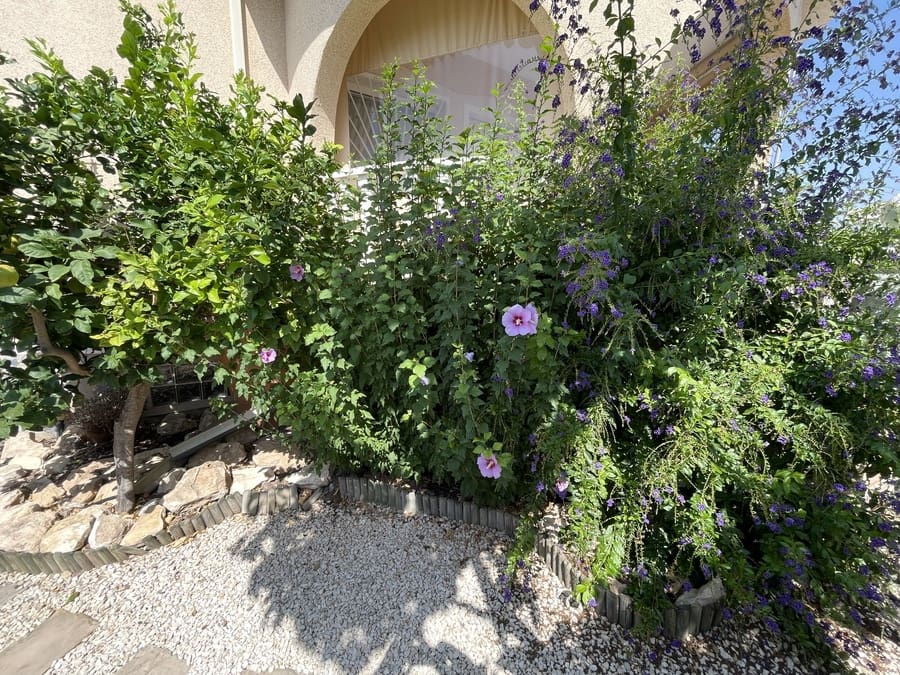 4 soveværelse Villa til salg i Ciudad Quesada med swimmingpool - € 340.000 (Ref: 9176150)