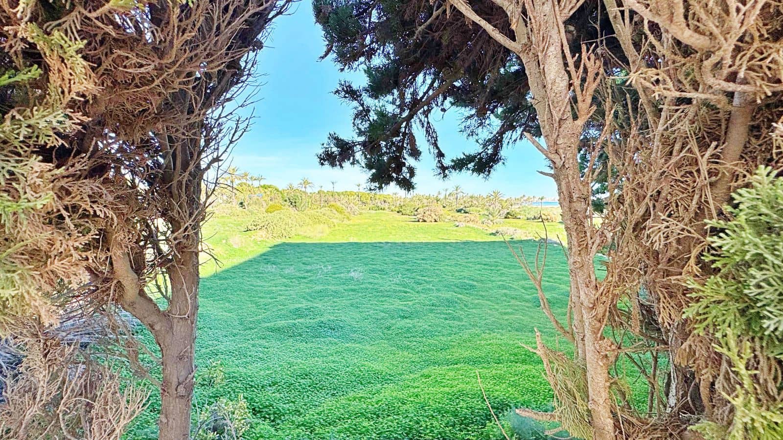 1 camera da letto Appartamento in vendita in Rocio del Mar con piscina - 135.900 € (Rif: 9390003)