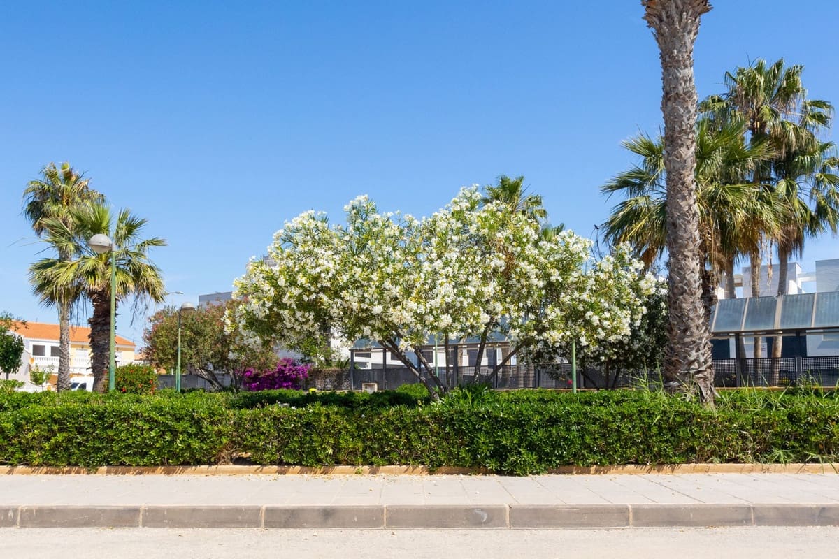 2 soverom Leilighet til salgs i Torre de la Horadada - € 105 000 (Ref: 9452747)