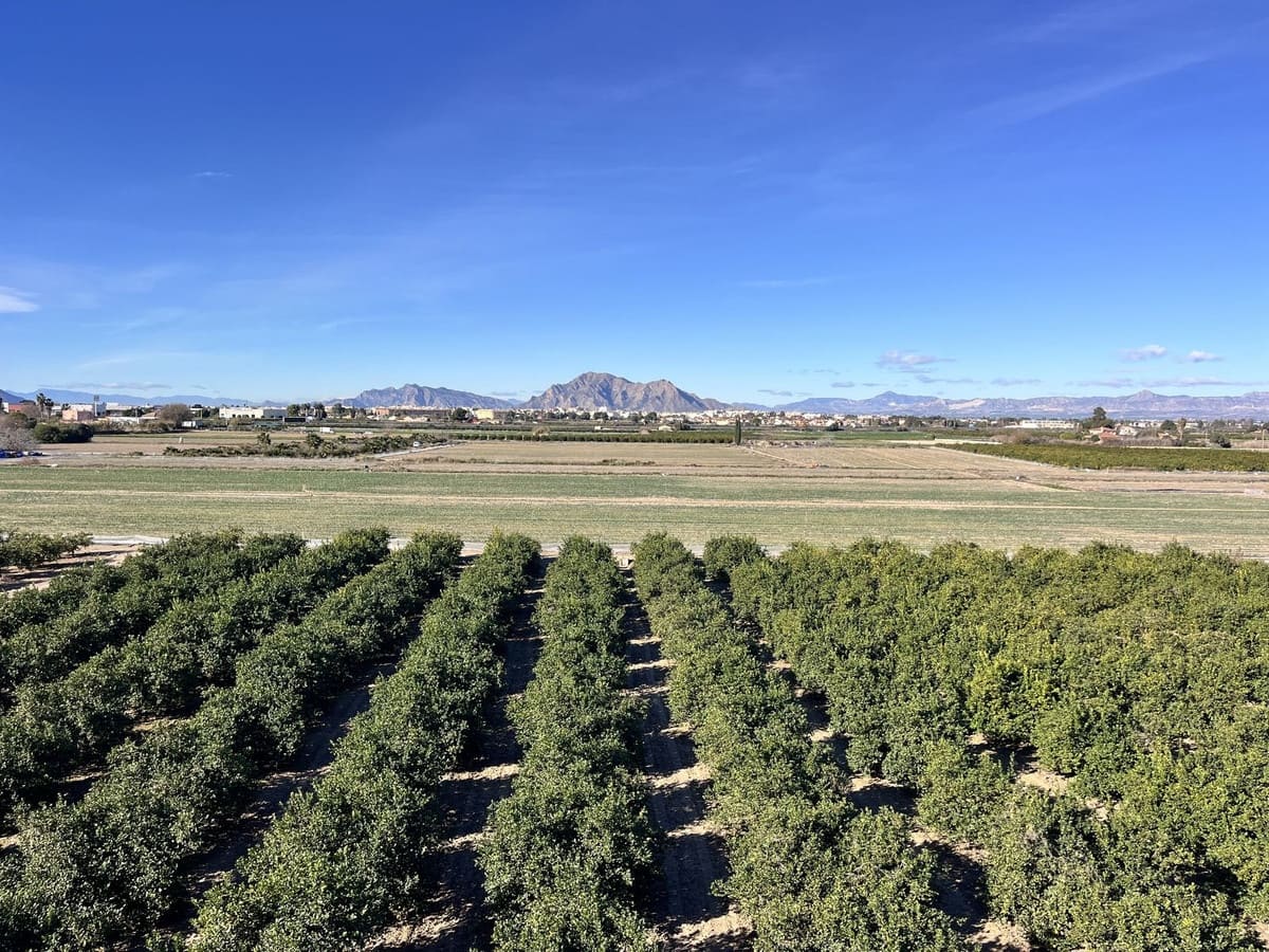 2 bedroom Penthouse for sale in Daya Nueva with pool - € 114,900 (Ref: 9540677)