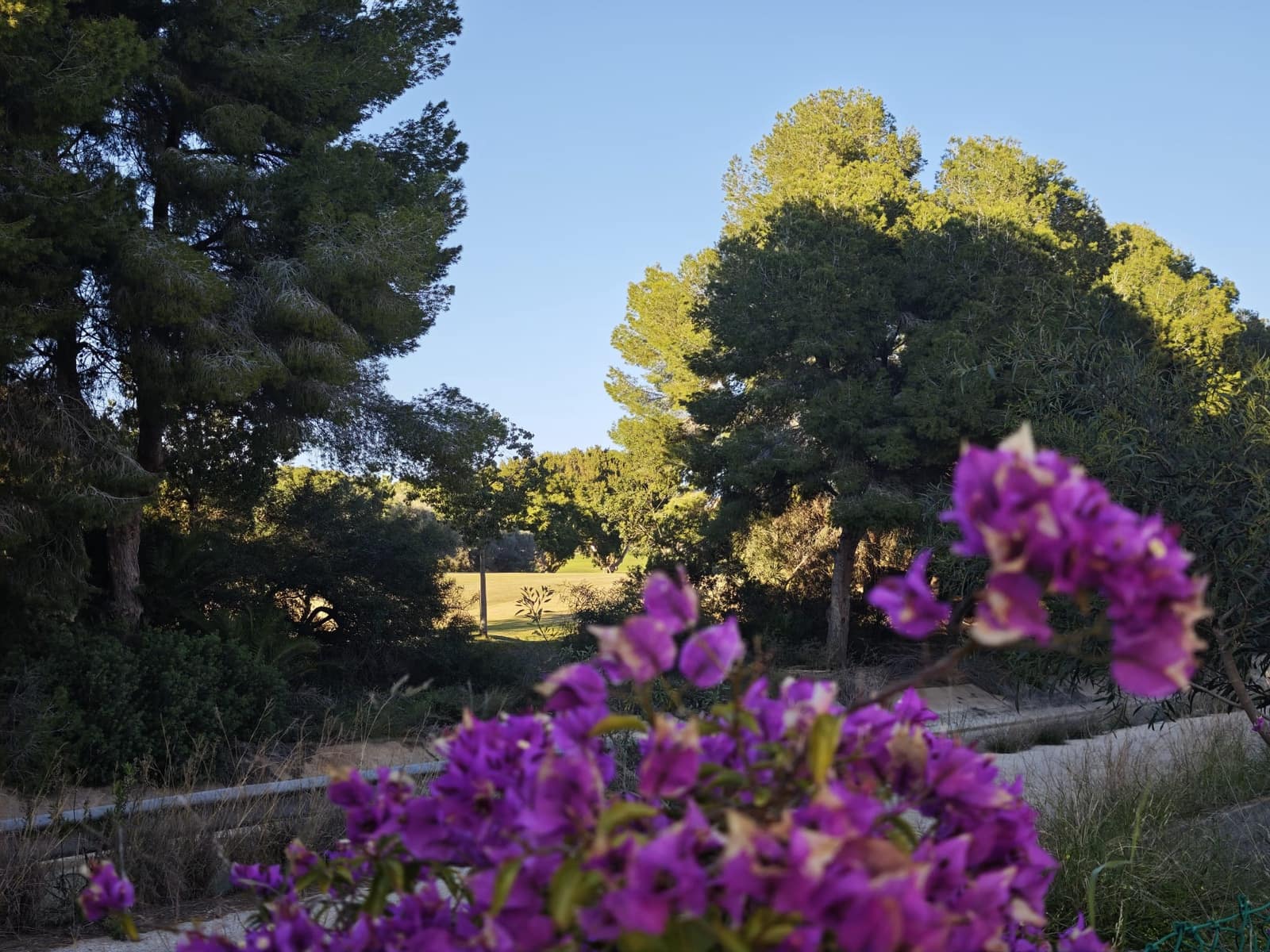 3 soveværelse Lejlighed til salg i Villamartin med swimmingpool garage - € 199.000 (Ref: 9625182)