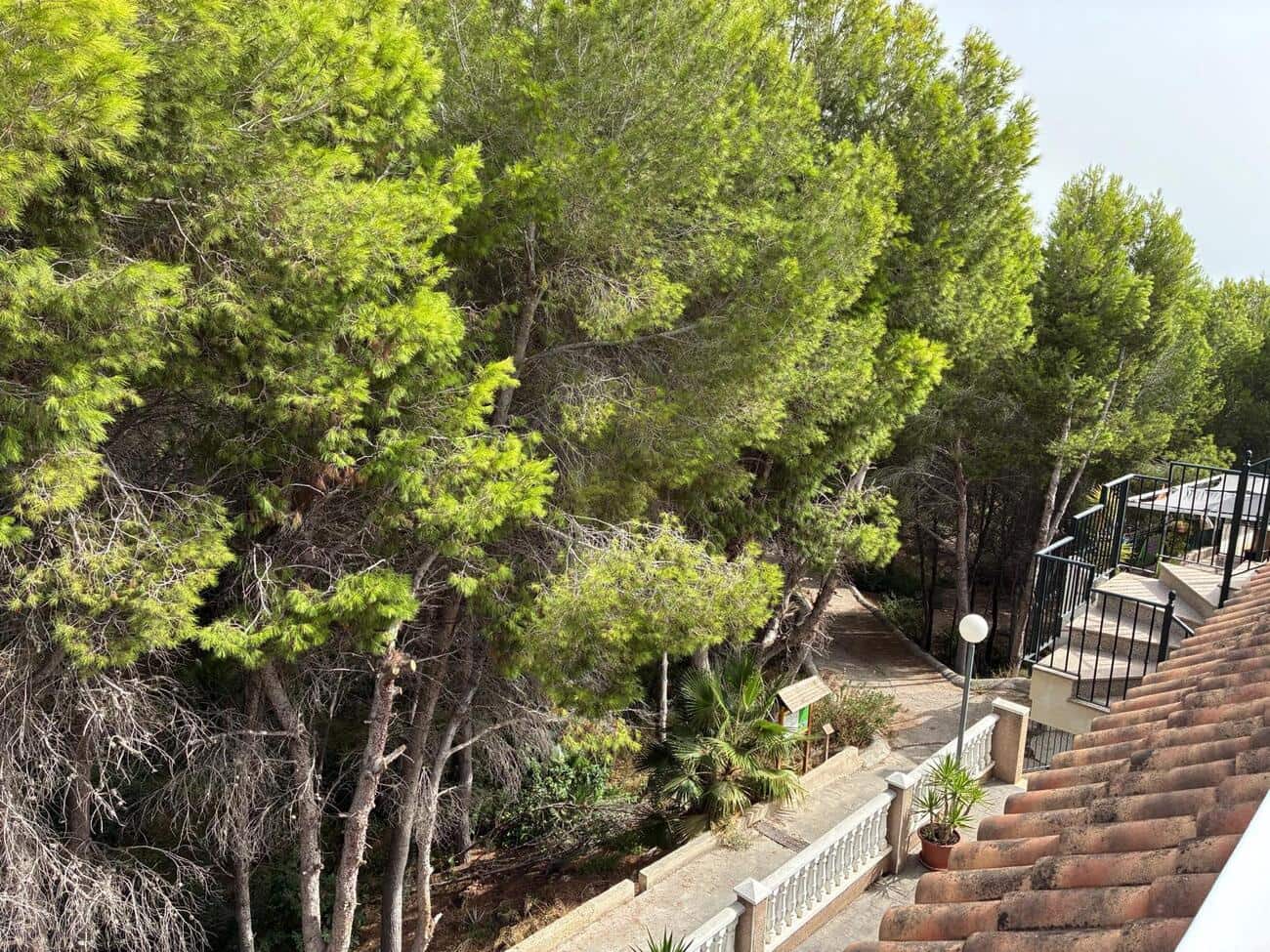 2 slaapkamer Appartement te koop in Algorfa met zwembad garage - € 119.500 (Ref: 9700140)