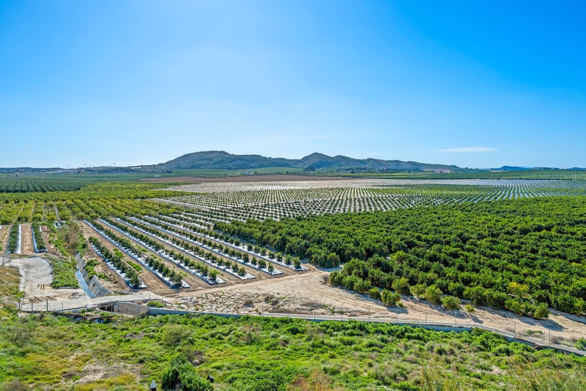 2 Zimmer Penthouse zu verkaufen in Algorfa mit Pool - 174.995 € (Ref: 9793951)