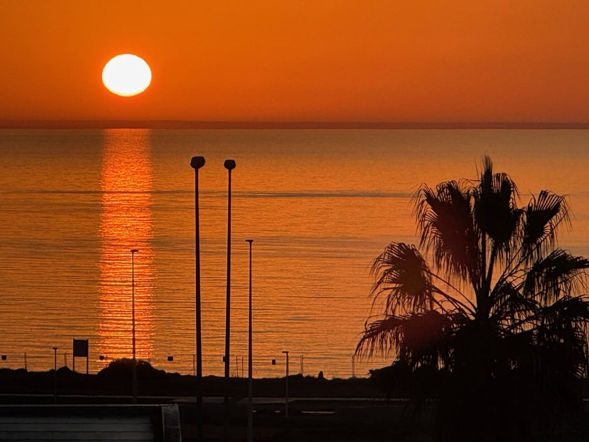 2 quarto Penthouse para venda em Playa Flamenca com piscina - 225 000 € (Ref: 9812498)