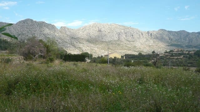 4 camera da letto Finca/Casa di Campagna in vendita in Denia - 475.000 € (Rif: 4345335)