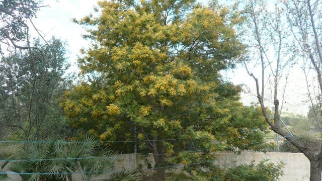 4 camera da letto Finca/Casa di Campagna in vendita in Denia - 475.000 € (Rif: 4345335)