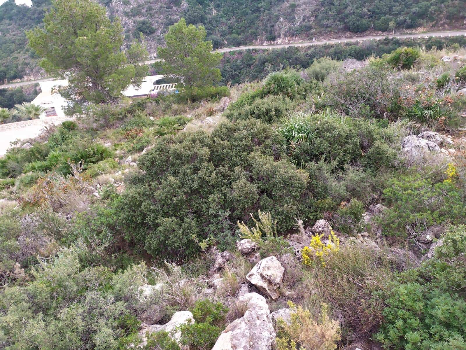 Byggegrund til salg i Denia - € 237.000 (Ref: 8598506)