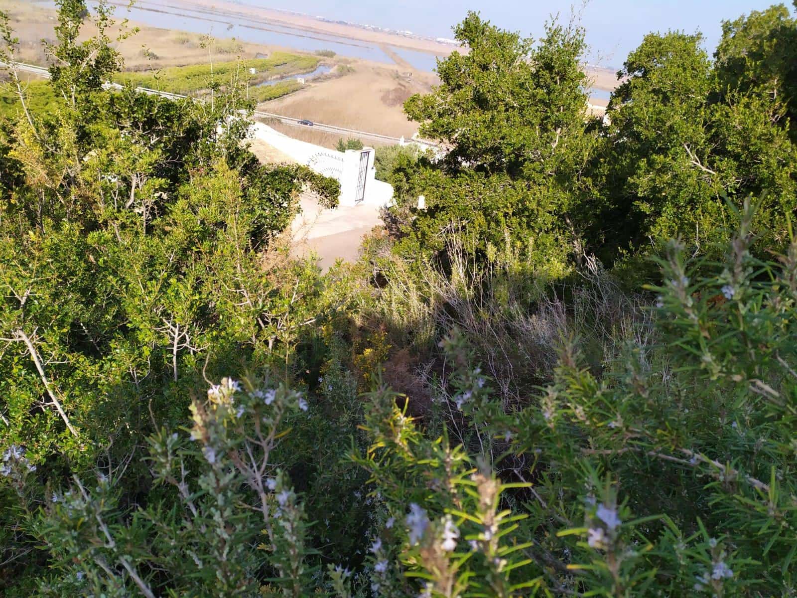 Byggegrund til salg i Denia - € 237.000 (Ref: 8598506)