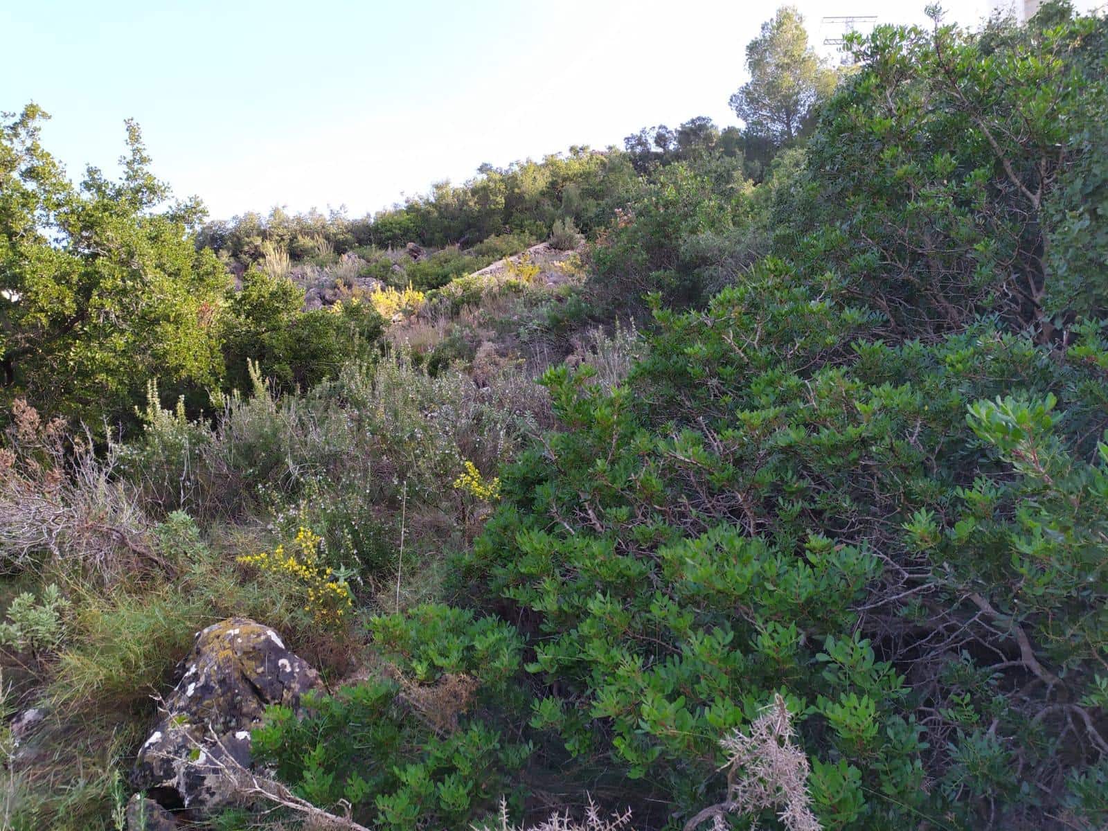 Byggegrund til salg i Denia - € 237.000 (Ref: 8598506)