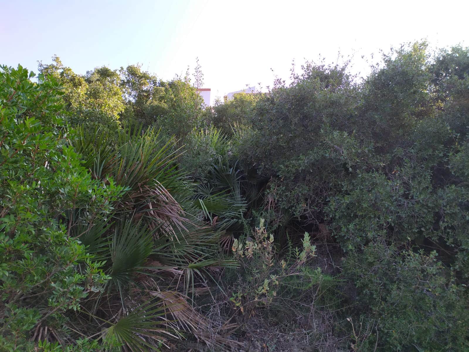 Byggegrund til salg i Denia - € 237.000 (Ref: 8598506)