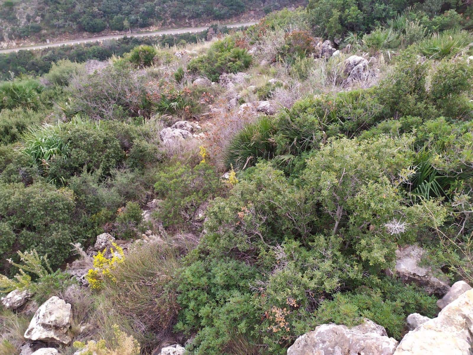 Byggegrund til salg i Denia - € 237.000 (Ref: 8598506)