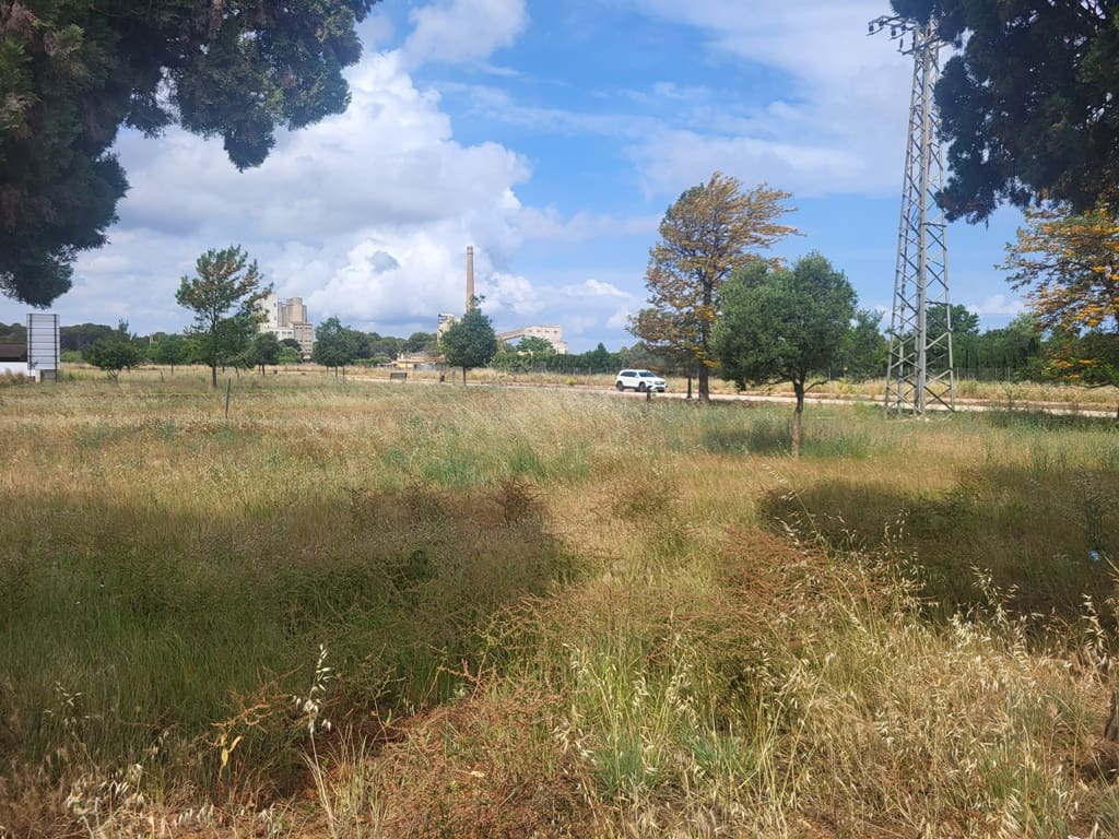 Area Edificabile in vendita in Denia - 277.000 € (Rif: 8598507)