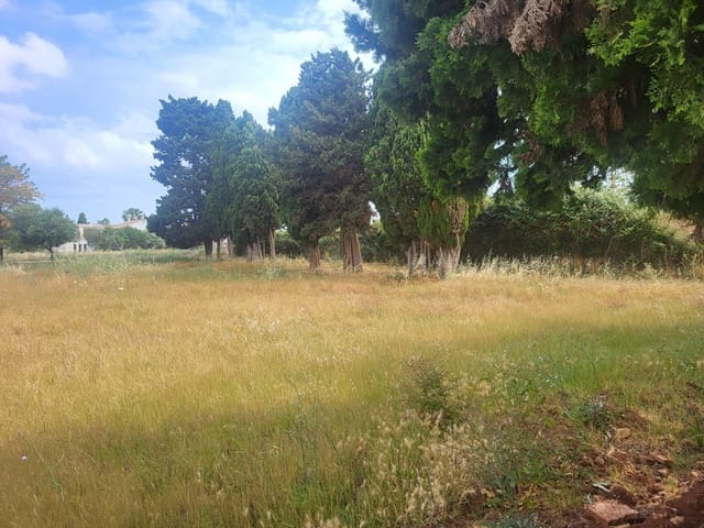 Area Edificabile in vendita in La Pedrera - Vessanes, Dénia - 277.000 € (Rif: 8598507)