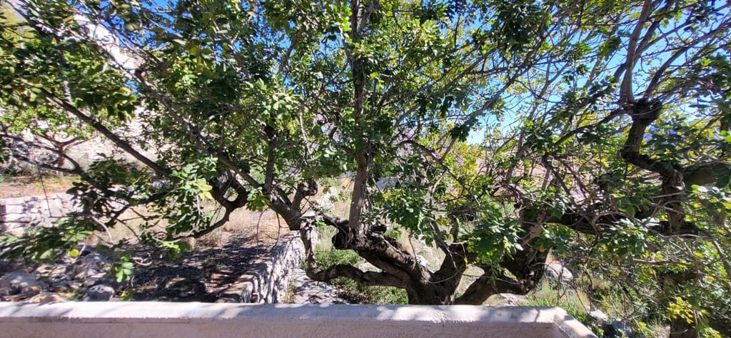 Chalet de 3 habitaciones en Sanet i Negrals en venta - 319.000 € (Ref: 9757553)