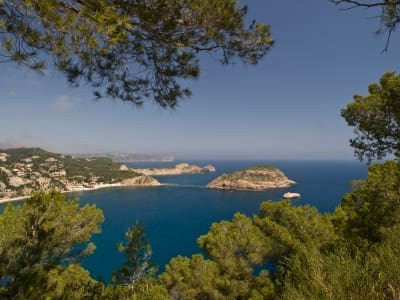 Erhverv til salg i Javea / Xabia - € 4.120.000 (Ref: 6025598)