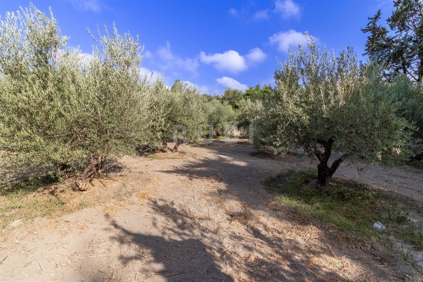 3 soverom Finca/Herregård til salgs i Orgiva med svømmebasseng garasje - € 480 000 (Ref: 10077269)