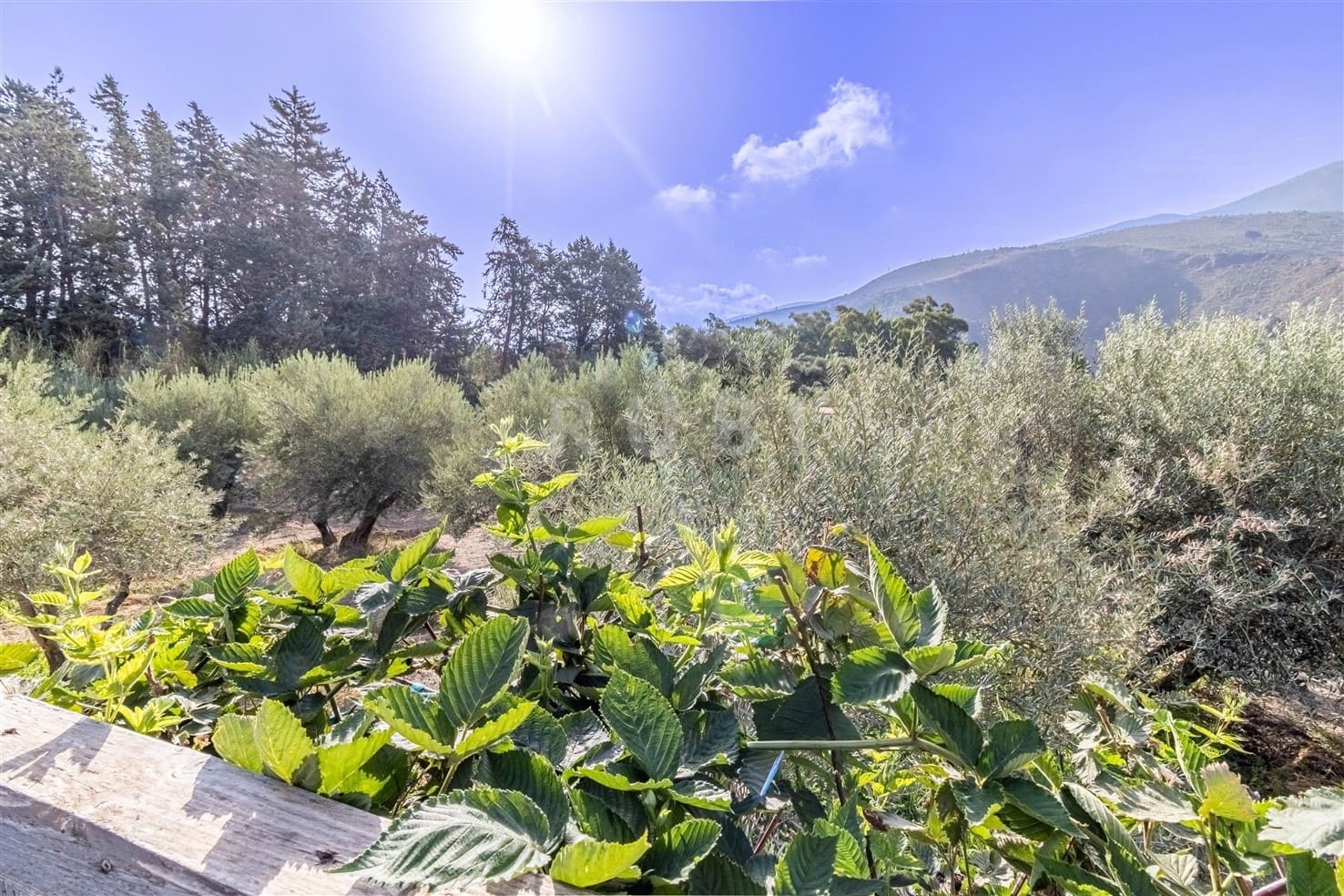 3 soverom Finca/Herregård til salgs i Orgiva med svømmebasseng garasje - € 480 000 (Ref: 10077269)