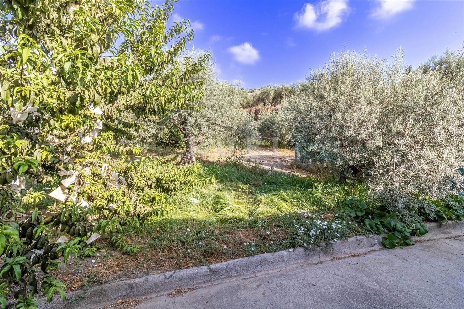3 soverom Finca/Herregård til salgs i Orgiva med svømmebasseng garasje - € 480 000 (Ref: 10077269)