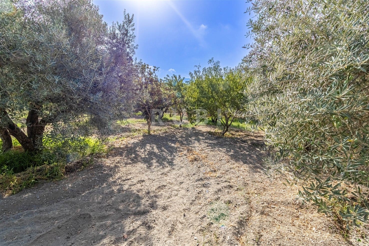 3 soverom Finca/Herregård til salgs i Orgiva med svømmebasseng garasje - € 480 000 (Ref: 10077269)