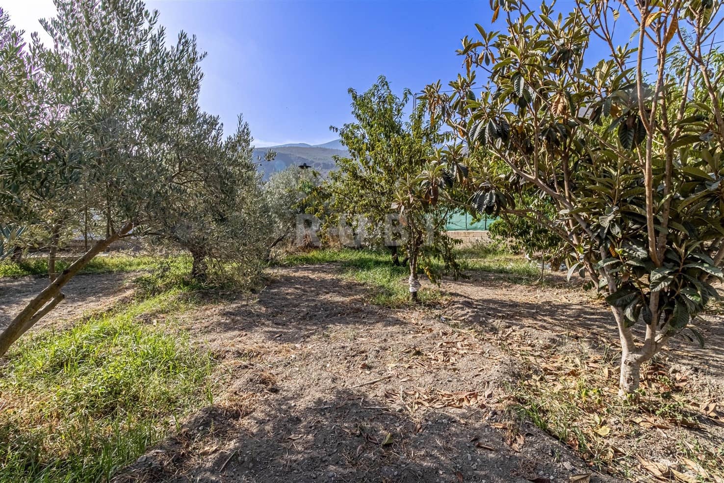 3 soverom Finca/Herregård til salgs i Orgiva med svømmebasseng garasje - € 480 000 (Ref: 10077269)