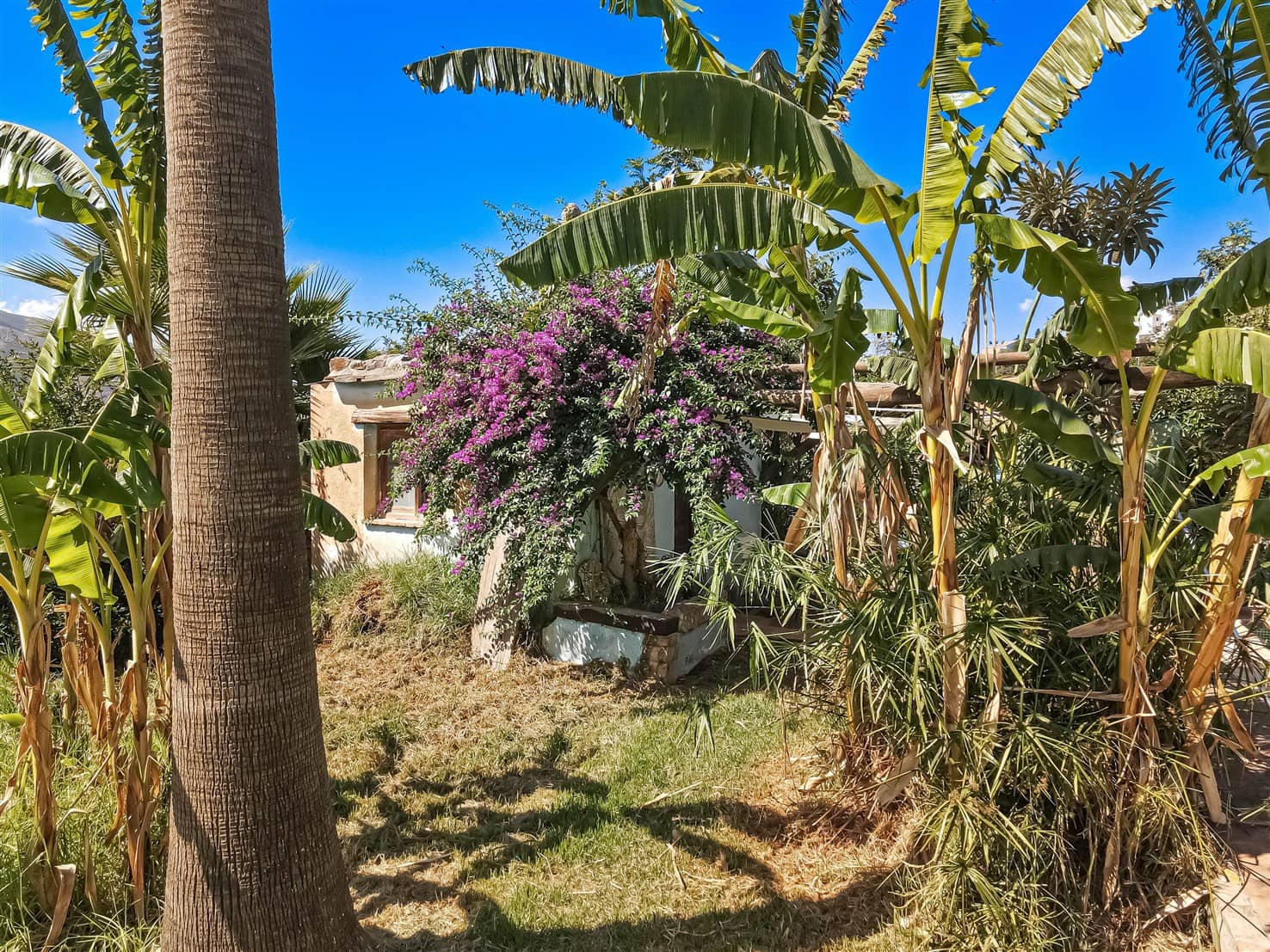 7 chambre Finca/Maison de Campagne à vendre à Orgiva avec piscine garage - 550 000 € (Ref: 10093813)
