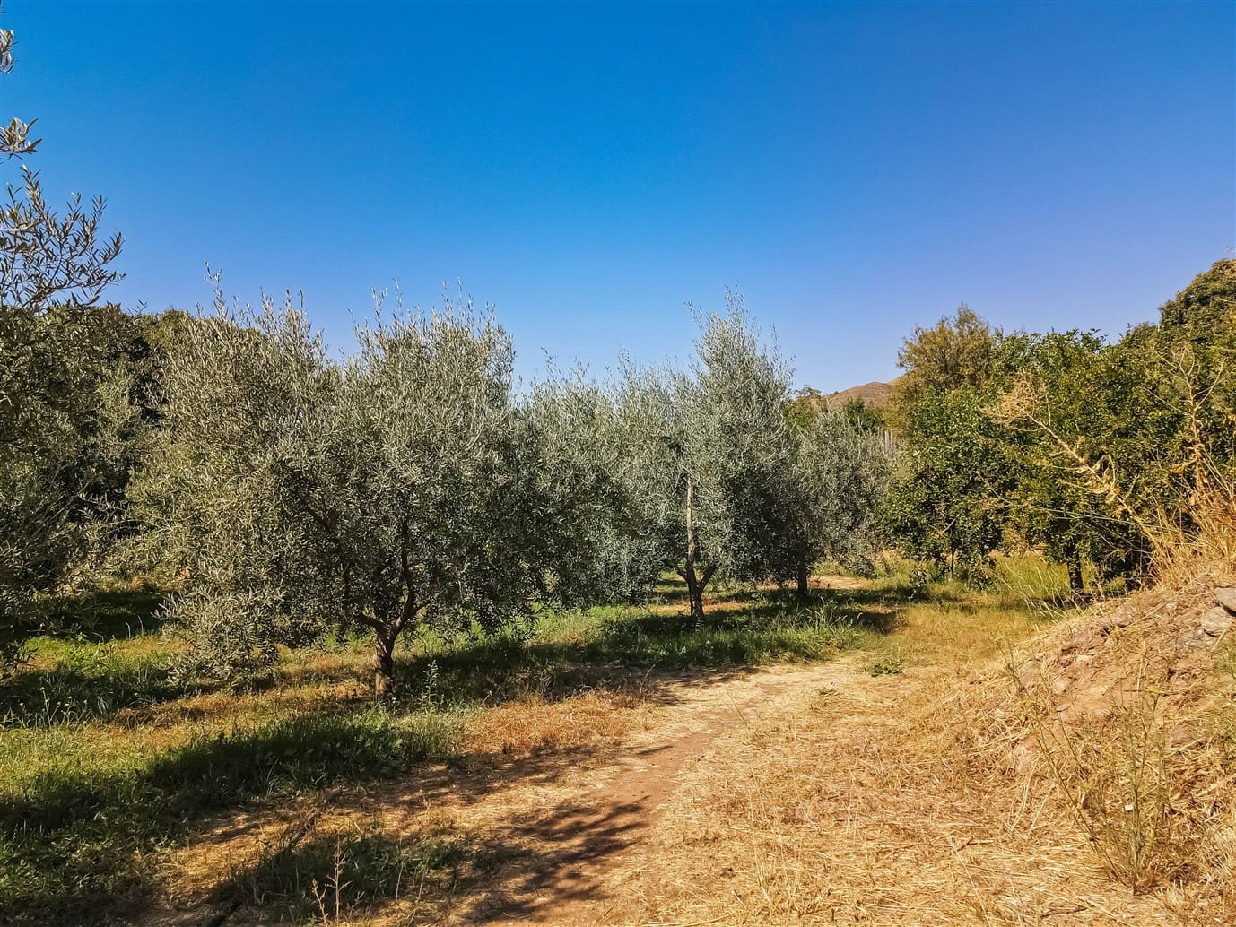 Finca/Casa Rural de 3 habitaciones en Lanjarón en venta con piscina garaje - 350.000 € (Ref: 10100855)